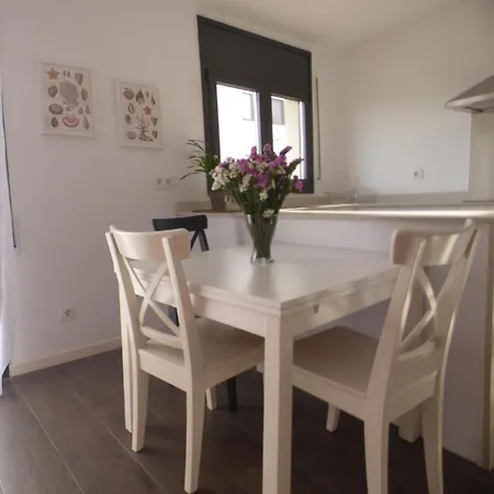Pis Practic I Agradable Sobre La Marina Apartment