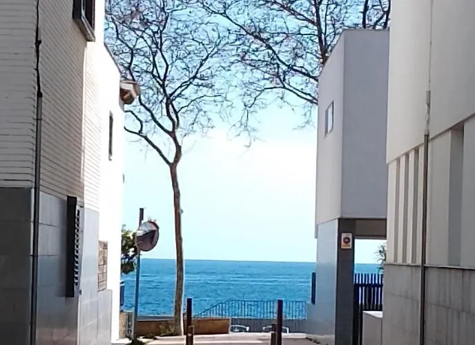 Pis Pràctic I Agradable Sobre La Marina Palamós